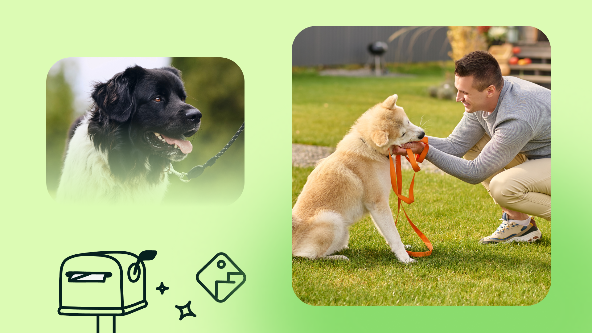 How Dog Trainers Can Increase Their Income Through Diversification