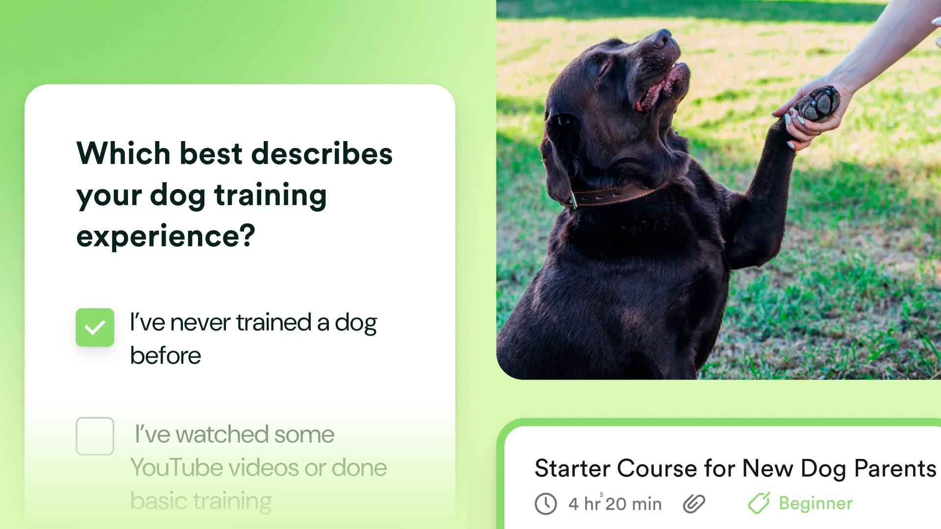 20 Tips To Create The Best Onboarding Experience For Your Searchie Hub