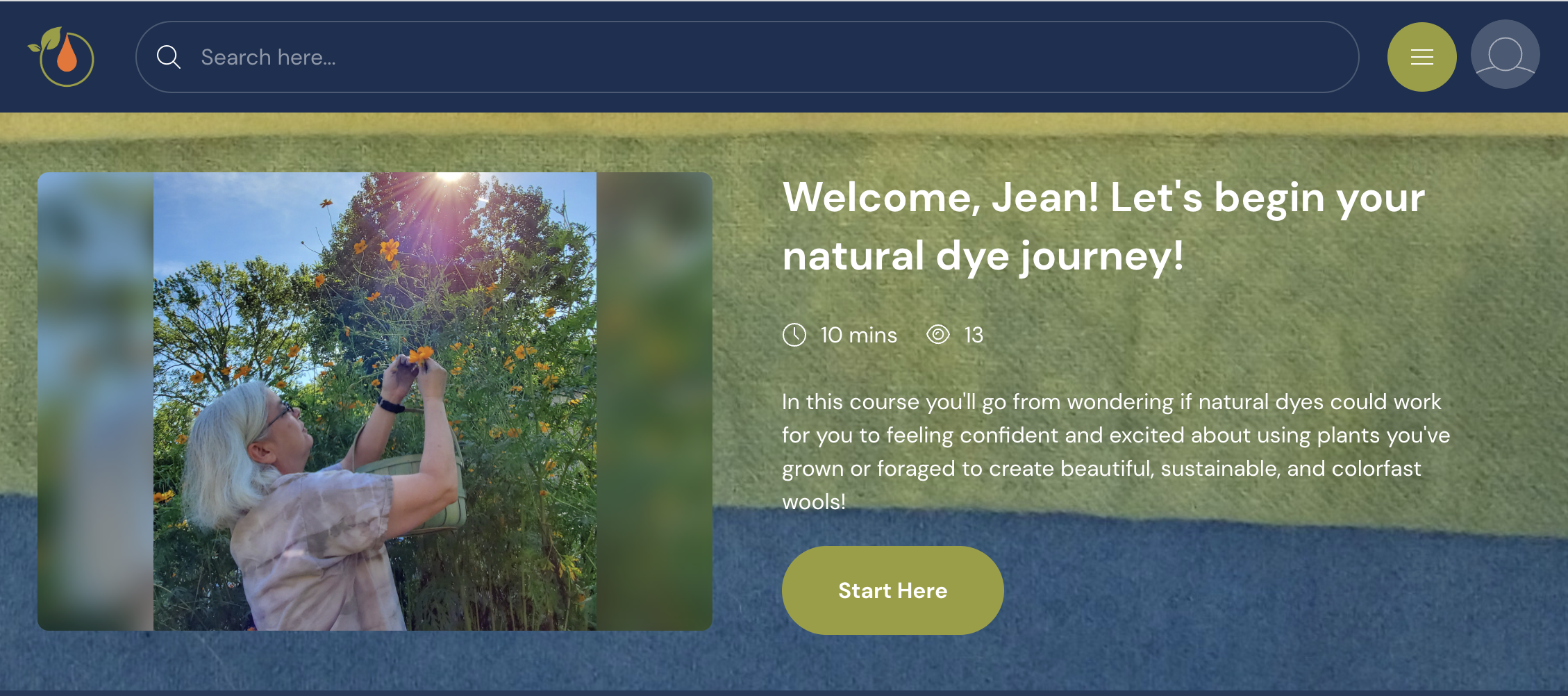 Jean Haley Dye + Design Searchie Hub